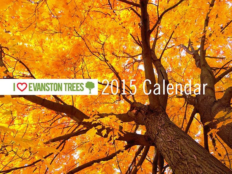 2015_Trees_Calendar_proof_2_Page_01