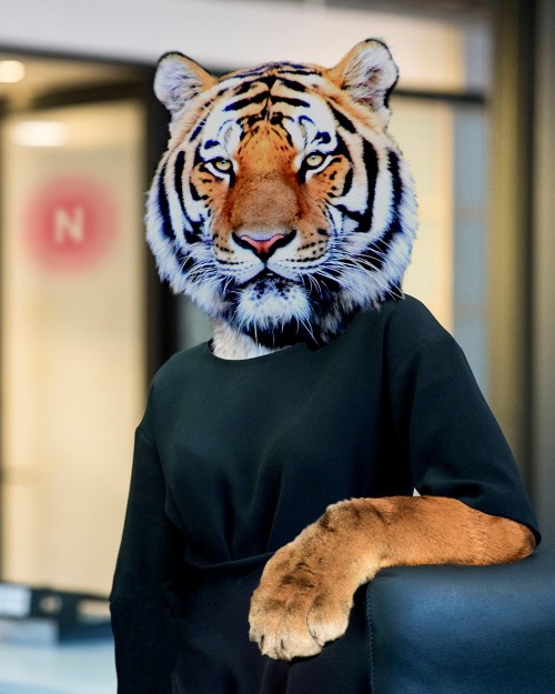 Neiger-Tiger-Marketing