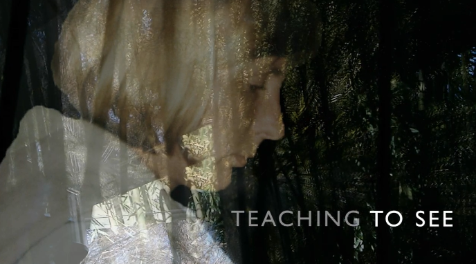 Teaching-To-See-Film