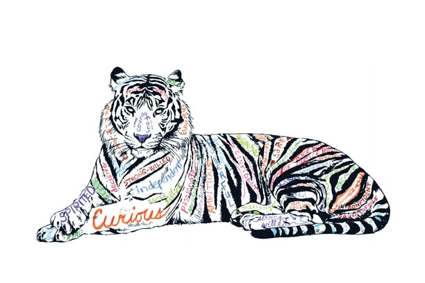 Debbie's Tiger Design