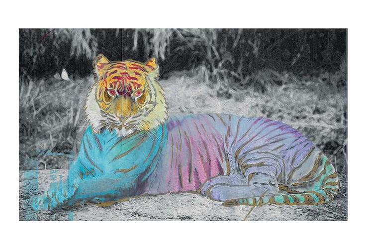 Jonathan's Tiger Design